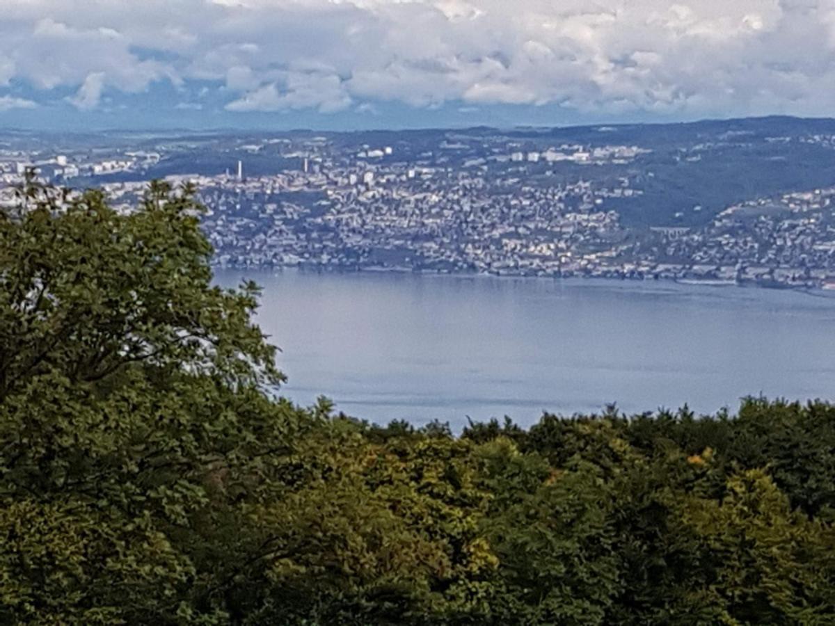 Superbe Appartement T2 3 Etoiles 40M2 Pied Des Pistes Vue Sur Le Lac Thollon-les-Memises Exteriér fotografie